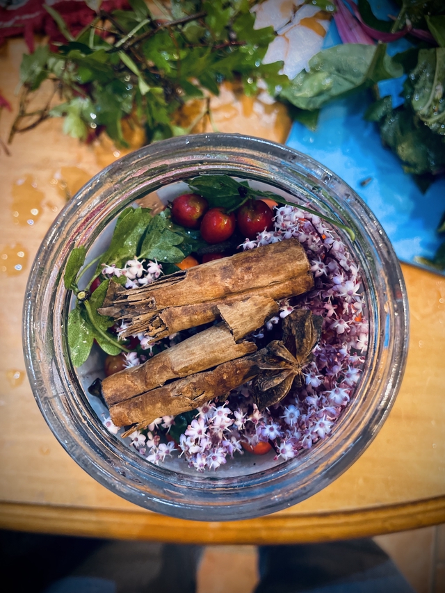 Winter Resilience Elixir - Image 4
